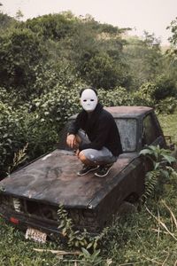 Man sitting on tree