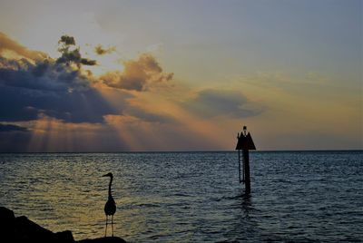 Silhouette man standing by sea against sky during sunset