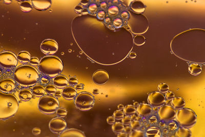 Close-up of bubbles