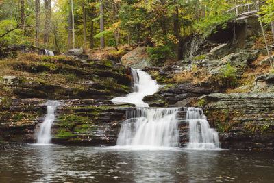 Scenic view of waterfall in forest
