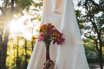 Close-up of hand holding white flower against trees