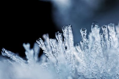 Ice crystal