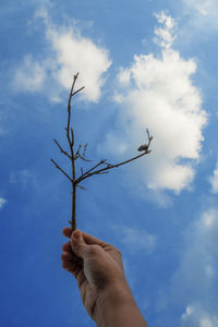 Low angle view of person hand against sky