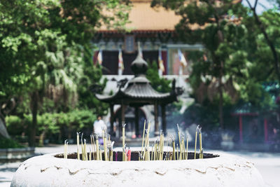 Incense sticks burning at temple in forest