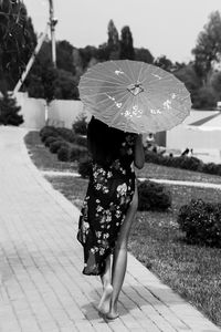 Rear view of woman holding umbrella