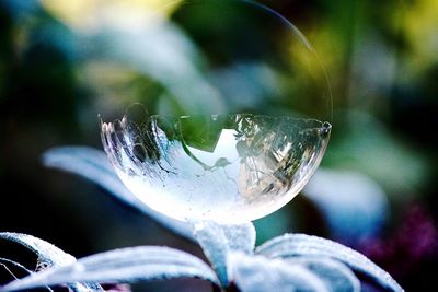 Close-up of hand with water drops