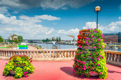 Potted plants by river in city against sky