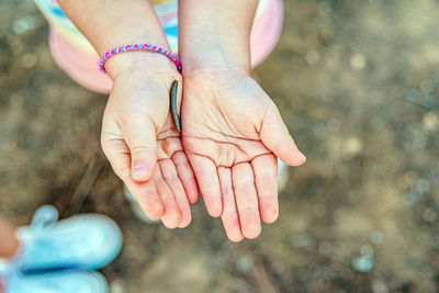 Close-up of centipede on hand outdoors