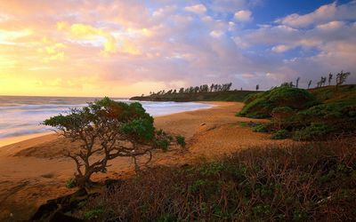 Scenic view of beach against sky during sunset