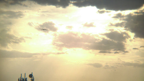 Low angle view of silhouette airplane flying over sea against sky