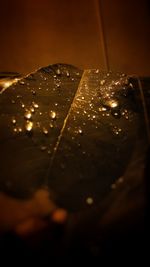 High angle view of wet table