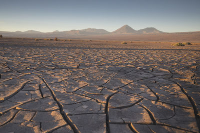 Erosion cracks in atacama desert