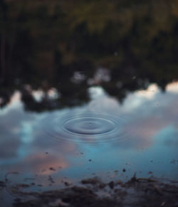 Close-up of jellyfish in water
