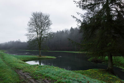 Scenic view of river against sky