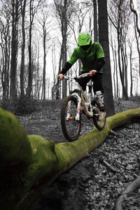 Man riding bicycle in forest