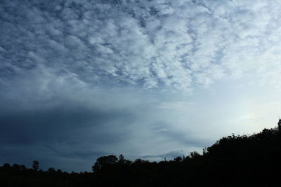 Low angle view of silhouette trees against sky