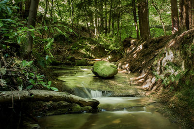 Stream flowing through rocks in forest