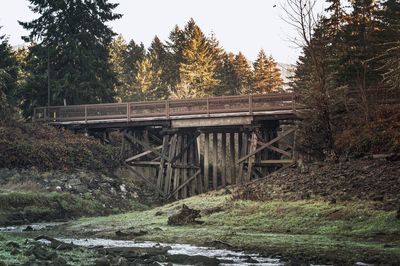 Bridge in forest against sky