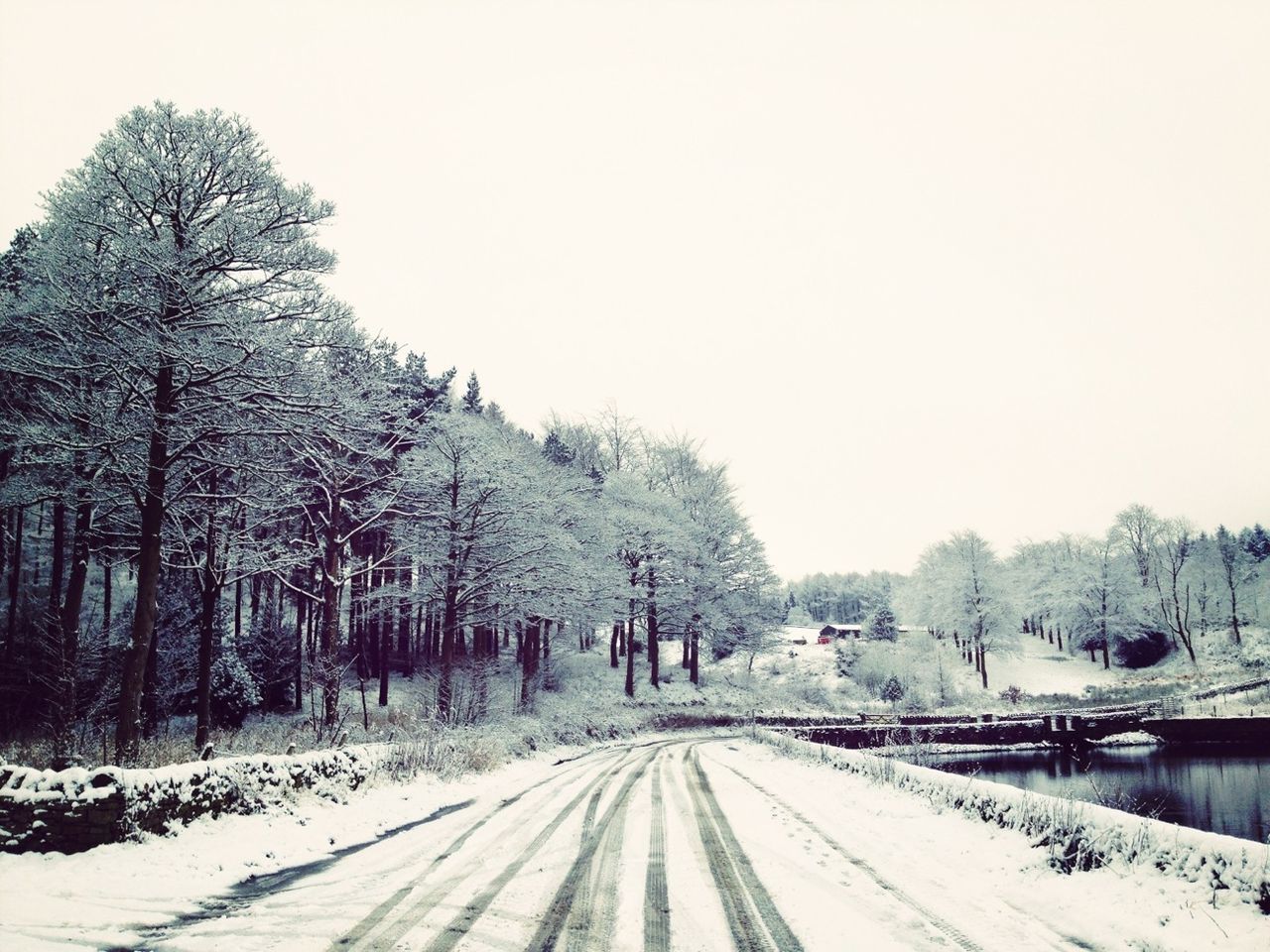 snow, winter, cold temperature, season, weather, the way forward, covering, clear sky, tree, diminishing perspective, landscape, tranquil scene, nature, vanishing point, covered, tranquility, bare tree, road, frozen, white color