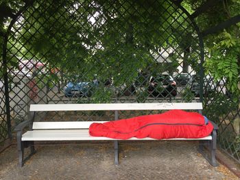 Empty bench in yard