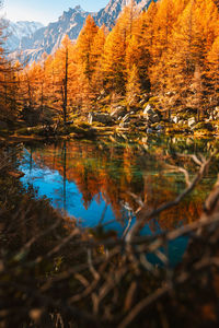 Scenic view of lake in forest during winter