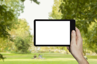 Hand holding smart phone against trees