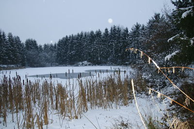 Scenic view of lake against clear sky