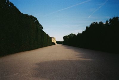 Empty road amidst trees against blue sky