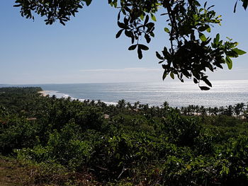 Scenic view of sea against clear sky