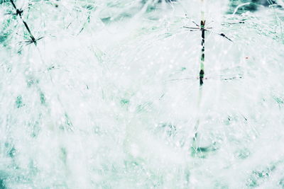 Full frame shot of frozen water