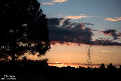 Silhouette trees on landscape against sky at sunset