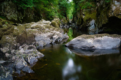 Stream flowing through rocks in forest