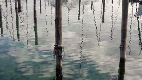 Reflection of tree in lake against sky