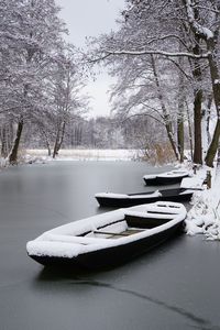 Snow covered plants by lake during winter