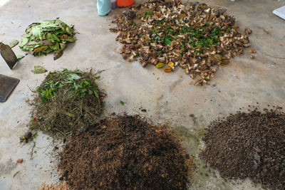 High angle view of chopped vegetables