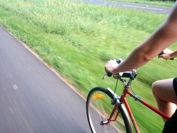 Cropped image of person holding grass