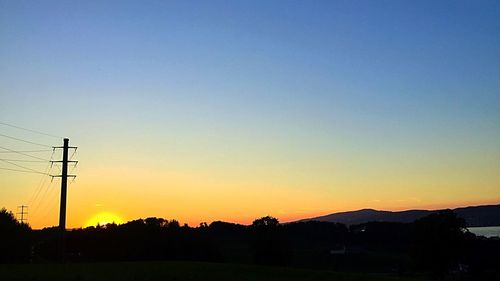 Silhouette of trees at sunset