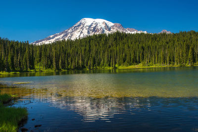 Scenic view of lake by trees against sky