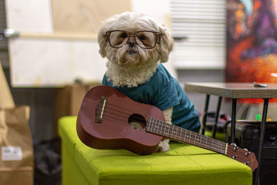 Dog playing guitar at home