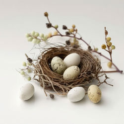 Eggs in a nest, easter eggs, nest, subdued colors, neutral white background, cozy, minimalism