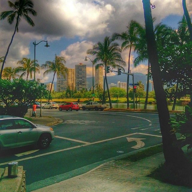 palm tree, tree, sky, cloud - sky, building exterior, architecture, built structure, car, cloudy, transportation, street, road, land vehicle, cloud, mode of transport, growth, city, outdoors, day, sunlight