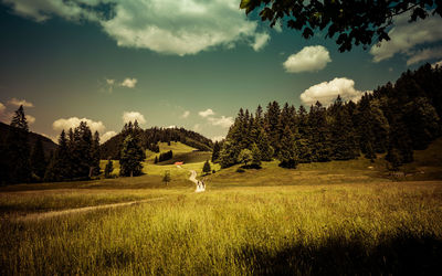 Bavarian landscape