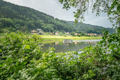 Scenic view of lake and trees against sky
