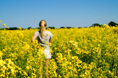 Rear view of woman standing amidst oilseed rape at farm against clear blue sky