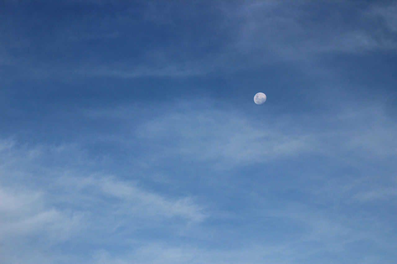 sky, moon, cloud, blue, space, nature, low angle view, no people, beauty in nature, scenics - nature, tranquility, outdoors, tranquil scene, copy space, flying, astronomy, mid-air, daytime, astronomical object