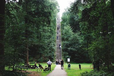 People in forest