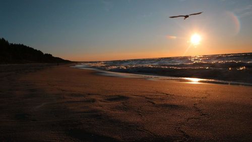 Scenic view of sunset over sea