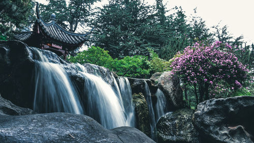 Scenic view of waterfall in forest