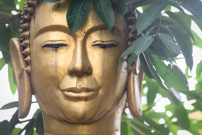 Close up of a golden buddha head statue among the leaves