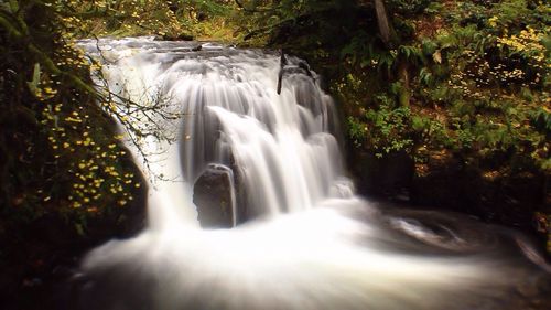 Stream flowing through rocks